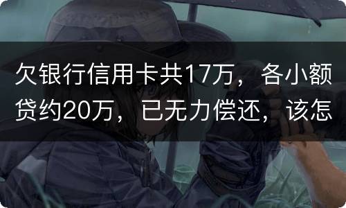 欠银行信用卡共17万，各小额贷约20万，已无力偿还，该怎么办