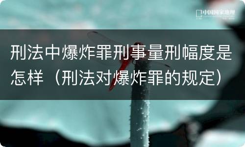 刑法中爆炸罪刑事量刑幅度是怎样（刑法对爆炸罪的规定）