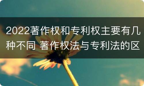 2022著作权和专利权主要有几种不同 著作权法与专利法的区别