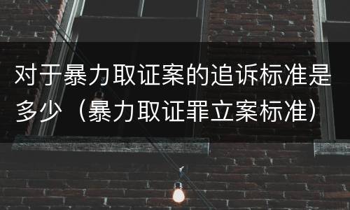 对于暴力取证案的追诉标准是多少（暴力取证罪立案标准）