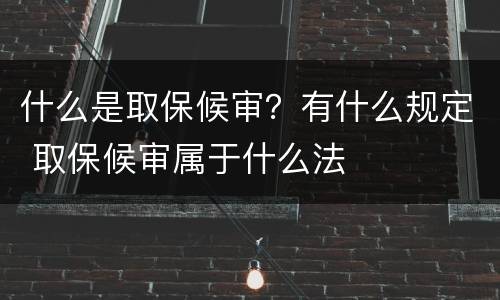 什么是取保候审？有什么规定 取保候审属于什么法