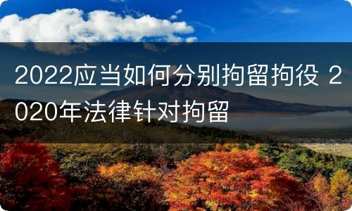 2022应当如何分别拘留拘役 2020年法律针对拘留