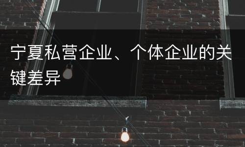 宁夏私营企业、个体企业的关键差异