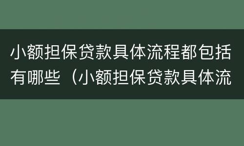 小额担保贷款具体流程都包括有哪些（小额担保贷款具体流程都包括有哪些项目）