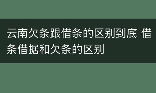 云南欠条跟借条的区别到底 借条借据和欠条的区别