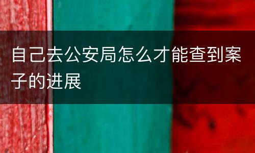 自己去公安局怎么才能查到案子的进展