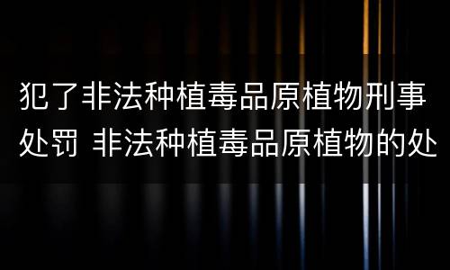 犯了非法种植毒品原植物刑事处罚 非法种植毒品原植物的处罚