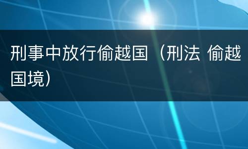 刑事中放行偷越国（刑法 偷越国境）