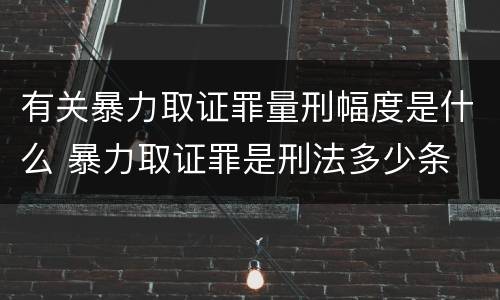 有关暴力取证罪量刑幅度是什么 暴力取证罪是刑法多少条