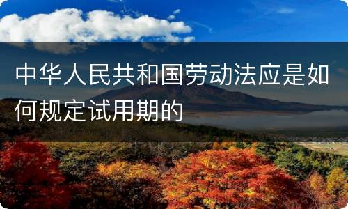 中华人民共和国劳动法应是如何规定试用期的