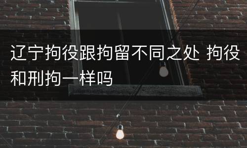 辽宁拘役跟拘留不同之处 拘役和刑拘一样吗