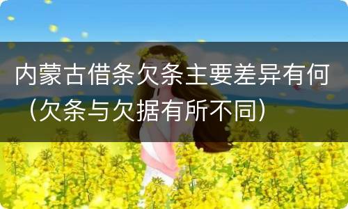 内蒙古借条欠条主要差异有何（欠条与欠据有所不同）