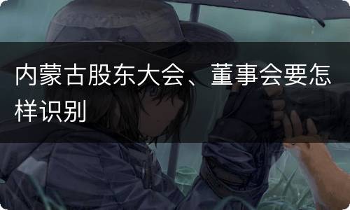 内蒙古股东大会、董事会要怎样识别