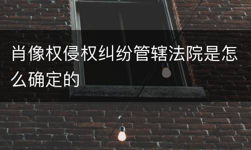 肖像权侵权纠纷管辖法院是怎么确定的