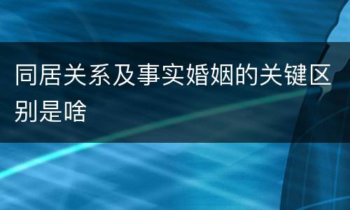 同居关系及事实婚姻的关键区别是啥