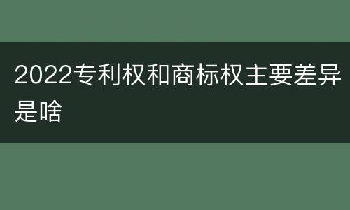 2022专利权和商标权主要差异是啥