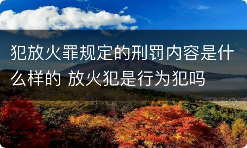 犯放火罪规定的刑罚内容是什么样的 放火犯是行为犯吗