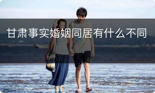 甘肃事实婚姻同居有什么不同