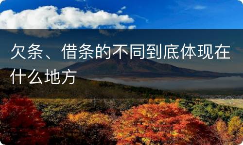 欠条、借条的不同到底体现在什么地方