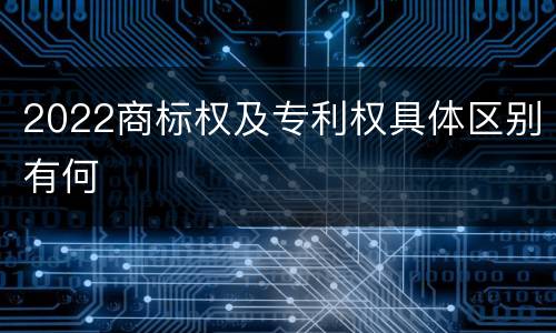 2022商标权及专利权具体区别有何