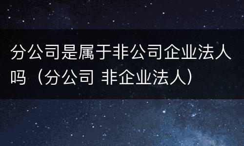 分公司是属于非公司企业法人吗（分公司 非企业法人）