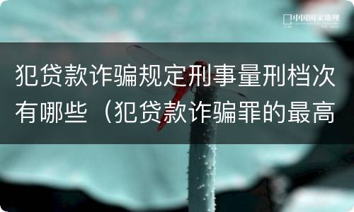 犯贷款诈骗规定刑事量刑档次有哪些（犯贷款诈骗罪的最高刑期是多久）