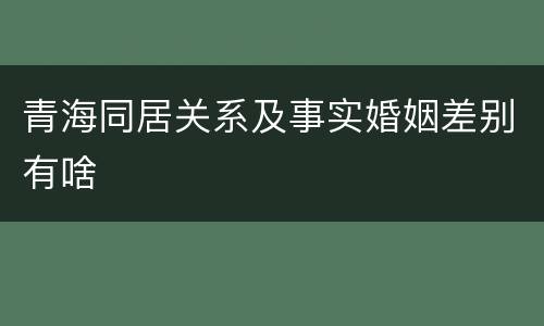 青海同居关系及事实婚姻差别有啥