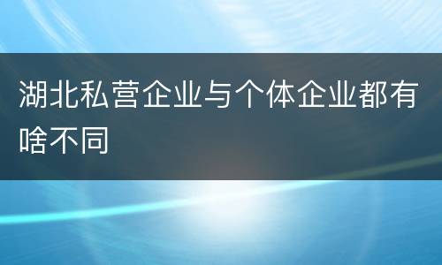 湖北私营企业与个体企业都有啥不同