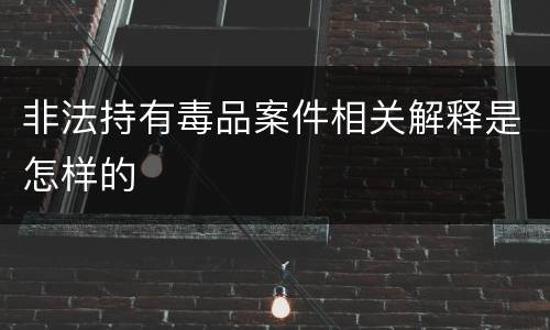 非法持有毒品案件相关解释是怎样的