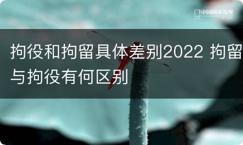 拘役和拘留具体差别2022 拘留与拘役有何区别