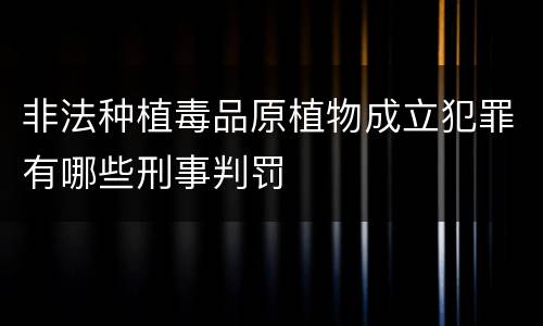 非法种植毒品原植物成立犯罪有哪些刑事判罚