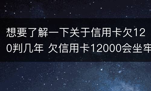 想要了解一下关于信用卡欠120判几年 欠信用卡12000会坐牢吗