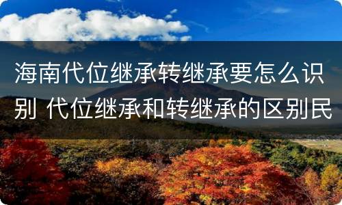 海南代位继承转继承要怎么识别 代位继承和转继承的区别民法典