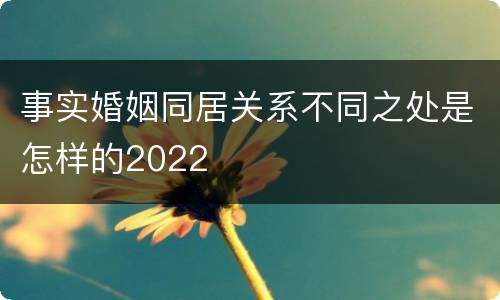 事实婚姻同居关系不同之处是怎样的2022