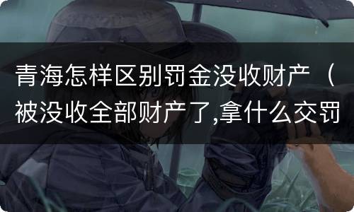 青海怎样区别罚金没收财产（被没收全部财产了,拿什么交罚金）