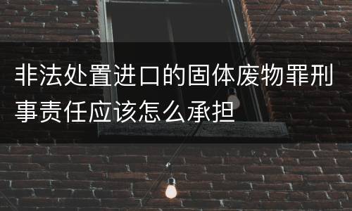 非法处置进口的固体废物罪刑事责任应该怎么承担