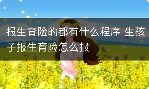 报生育险的都有什么程序 生孩子报生育险怎么报