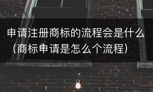 申请注册商标的流程会是什么（商标申请是怎么个流程）