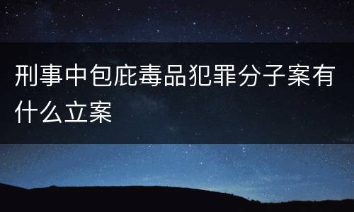 刑事中包庇毒品犯罪分子案有什么立案