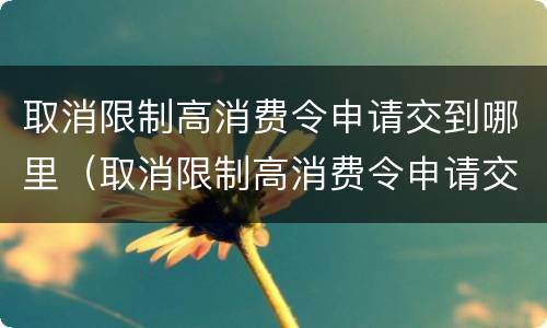 取消限制高消费令申请交到哪里（取消限制高消费令申请交到哪里去了）