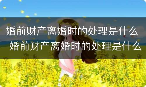 婚前财产离婚时的处理是什么 婚前财产离婚时的处理是什么法律