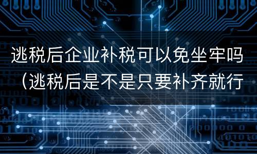 逃税后企业补税可以免坐牢吗（逃税后是不是只要补齐就行）