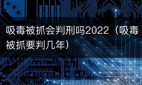 吸毒被抓会判刑吗2022（吸毒被抓要判几年）