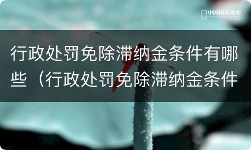 行政处罚免除滞纳金条件有哪些（行政处罚免除滞纳金条件有哪些呢）