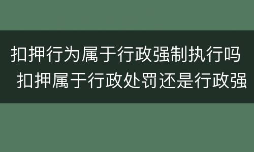 扣押行为属于行政强制执行吗 扣押属于行政处罚还是行政强制