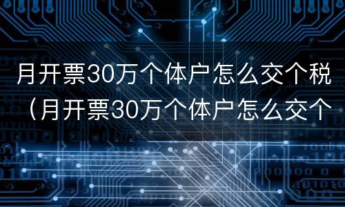 月开票30万个体户怎么交个税（月开票30万个体户怎么交个人所得税）