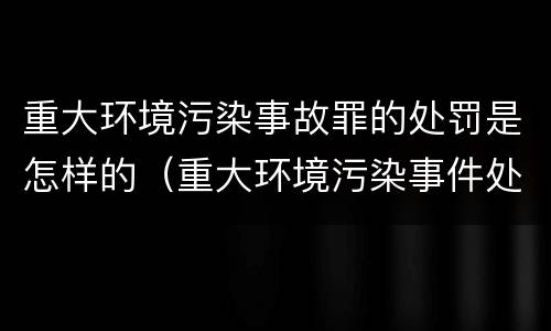 重大环境污染事故罪的处罚是怎样的（重大环境污染事件处罚）