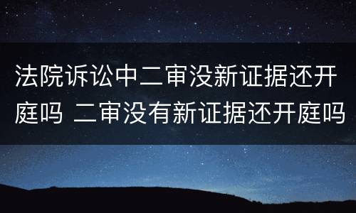 法院诉讼中二审没新证据还开庭吗 二审没有新证据还开庭吗