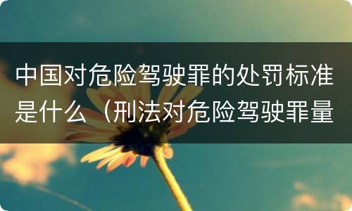 中国对危险驾驶罪的处罚标准是什么（刑法对危险驾驶罪量刑标准）