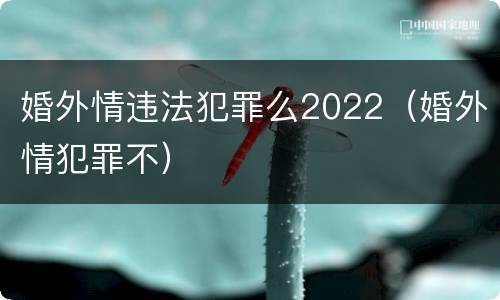 婚外情违法犯罪么2022（婚外情犯罪不）